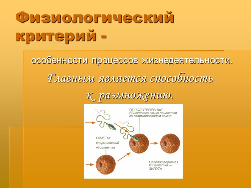 Физиологический критерий -     особенности процессов жизнедеятельности. Главным является способность 